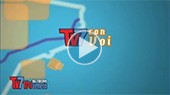"TV7 CON VOI" 1 Novembre 2012: Intervista all'Ing. Dalla Pozza "Andamento infortuni Mortali 2012"