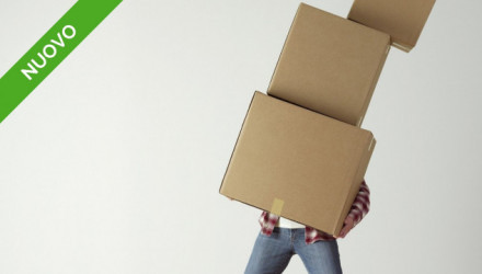 Corso E-Learning MMC: come valutare il rischio da sollevamento e trasporto manuale carichi (Aggiornamento RSPP e ASPP)