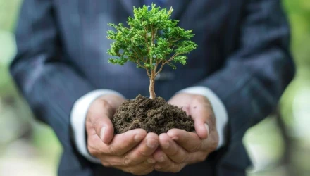 corso-online-elearning-sustainabilty-manager