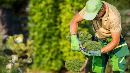 formazione lavoratori cura manutenzione del paesaggio e-learning online
