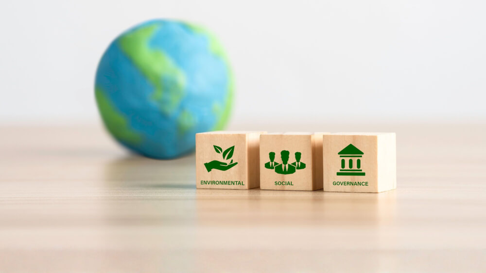 bilanci di sostenibilit