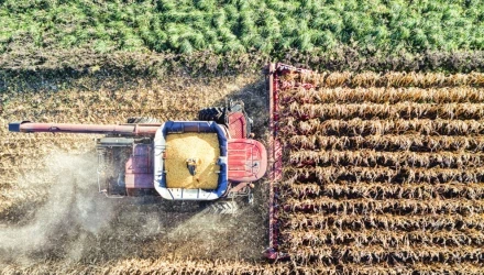 Corsi sicurezza lavoratori settore agricoltura, silvicoltura (rischio medio) - Accordo Stato Regioni 2025