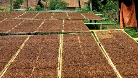 Corso sicurezza lavoratori generale specifica settore industria del tabacco ATECO C12