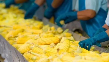 Corso sicurezza lavoratori generale specifica settore industrie alimentari bevande ATECO C10 C11