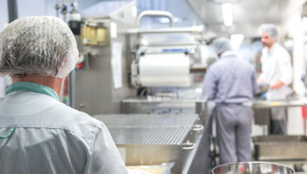 CORSO AGGIORNAMENTO SICUREZZA LAVORATORI SETTORE ALIMENTARE