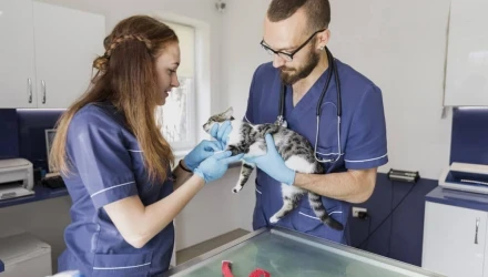 CORSO DI FORMAZIONE SULLA SICUREZZA PER LAVORATORI ADDETTI ALLA FORNITURA DI SERVIZI VETERINARI � RISCHIO BASSO 