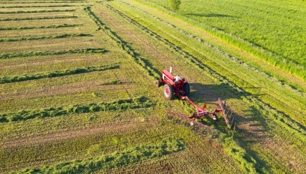 settore agricoltura, silvicoltura - ATECO A 01 - 02