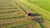 settore agricoltura, silvicoltura - ATECO A 01 - 02