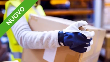 CORSO E-LEARNING AGGIORNAMENTO ASPP E RSPP – TUTTI I SETTORI ATECO – MOVIMENTAZIONE MANUALE DEI CARICHI MMC – 20 ore