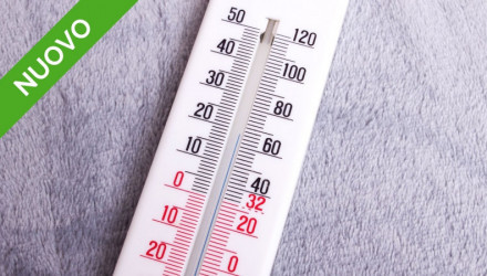 SCOPRI LE DATE DEL CORSO PER LA CORRETTA VALUTAZIONE DEL MICROCLIMA IN VIDEOCONFERENZA