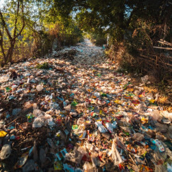 CORSO RESPONSABILITA' E SANZIONI AMBIENTALI: QUALI SONO E COME PREVENIRLE - 8 ORE