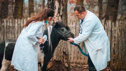 CORSI SICUREZZA DEI LAVORATORI DEL SETTORE SERVIZI VETERINARI 