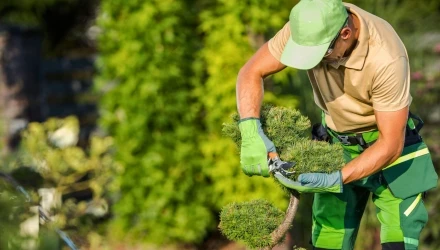 CORSI SICUREZZA DEI LAVORATORI DEL SETTORE CURA E MANUTENZIONE DEL PAESAGGIO