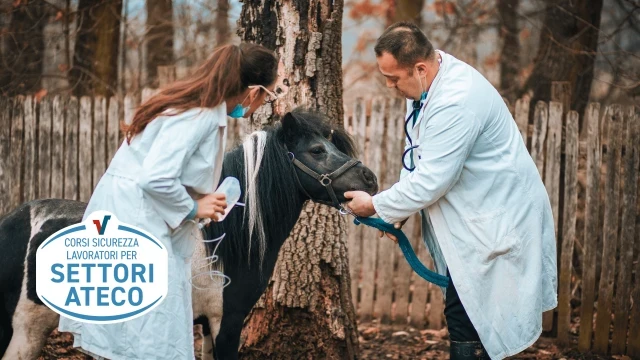 ateco-veterinari