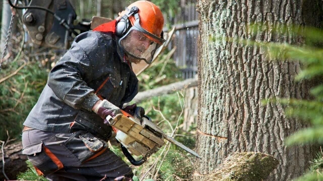 Corsi sicurezza lavoratori settore agricoltura silvicoltura agricoli allevatori boscaioli