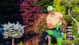 Formazione sicurezza lavoratori cura e manutenzione paesaggio