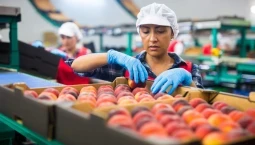 Formazione sicurezza lavoratori industrie alimentari bevande